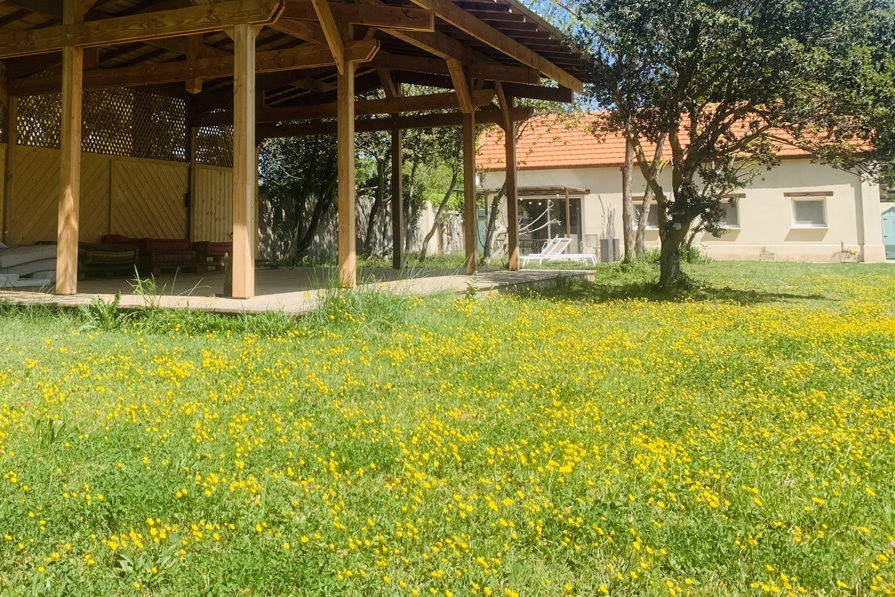 Vacances Salin de Giraud